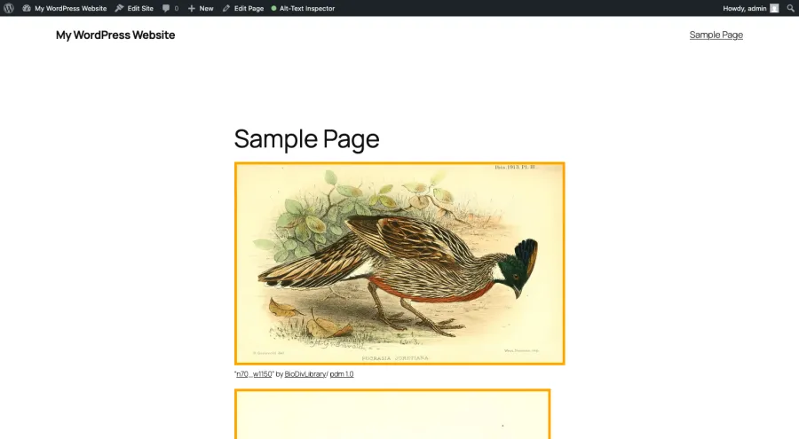 A screenshot of a sample WordPress page in the frontend when the plugins frontend inspector module is active. Two images have an orange outline because their alt-text is empty.